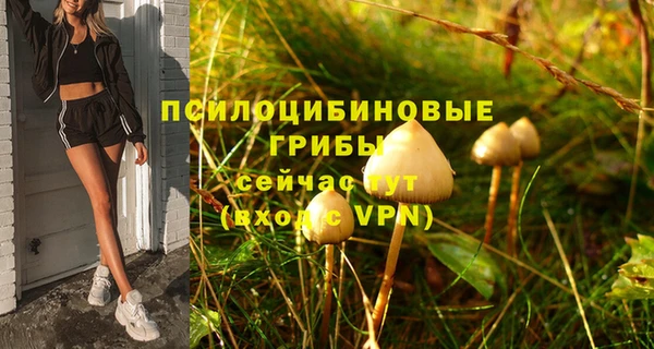трава Ессентукская
