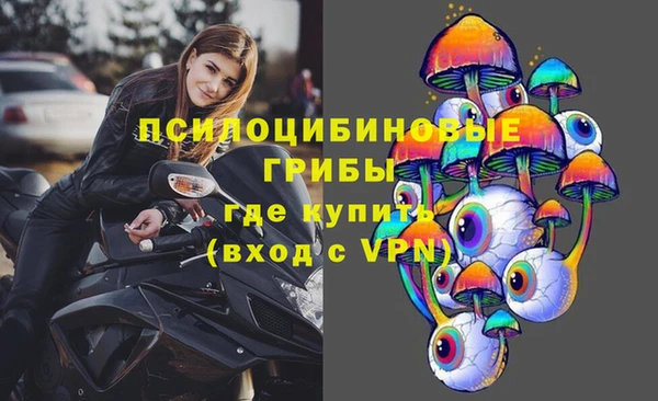 ALPHA PVP Карталы