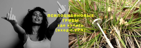 а пвп мука Киреевск