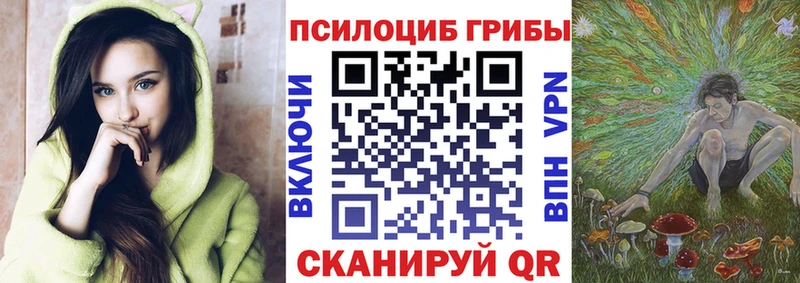 Псилоцибиновые грибы мухоморы  даркнет сайт  KRAKEN ССЫЛКА  Нестеровская 